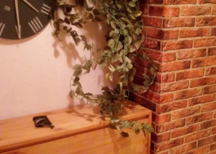 House Seerose Self Check-in 2* Обертраун